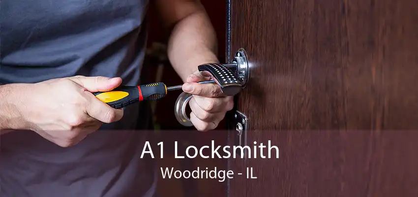 A1 Locksmith Woodridge - IL