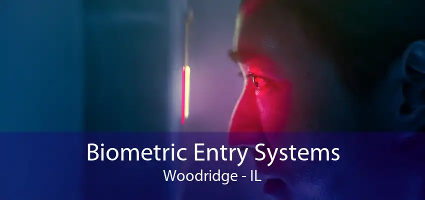 Biometric Entry Systems Woodridge - IL