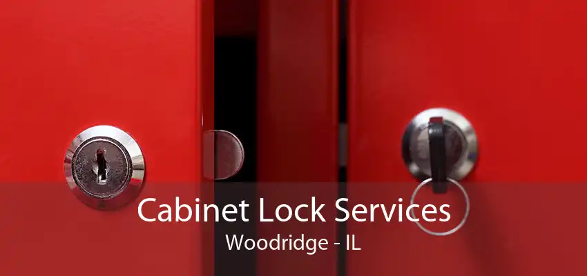 Cabinet Lock Services Woodridge - IL