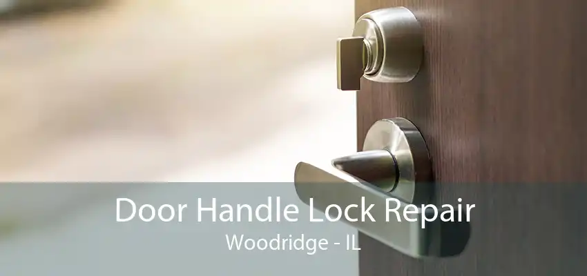 Door Handle Lock Repair Woodridge - IL