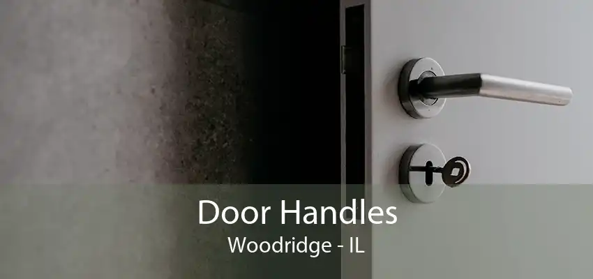 Door Handles Woodridge - IL