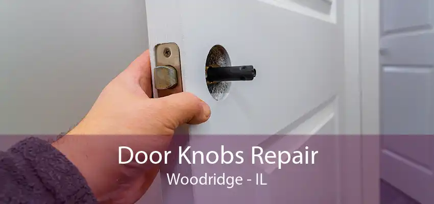 Door Knobs Repair Woodridge - IL