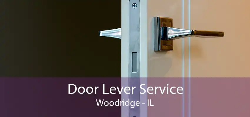 Door Lever Service Woodridge - IL