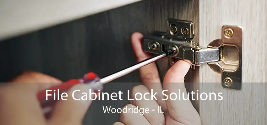 File Cabinet Lock Solutions Woodridge - IL