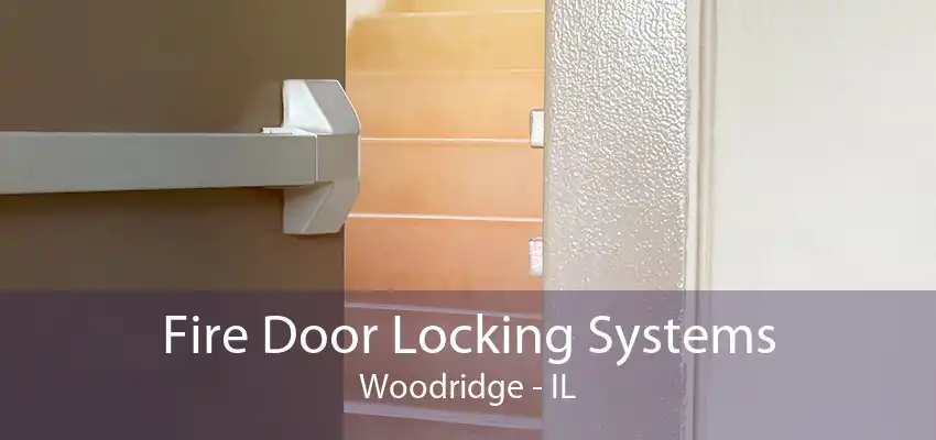 Fire Door Locking Systems Woodridge - IL