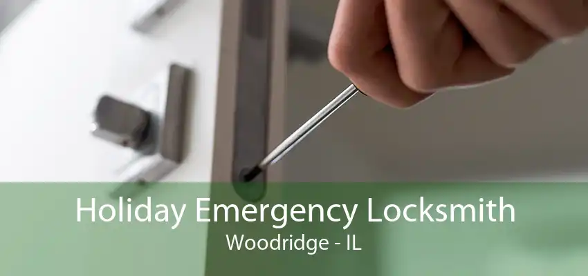 Holiday Emergency Locksmith Woodridge - IL