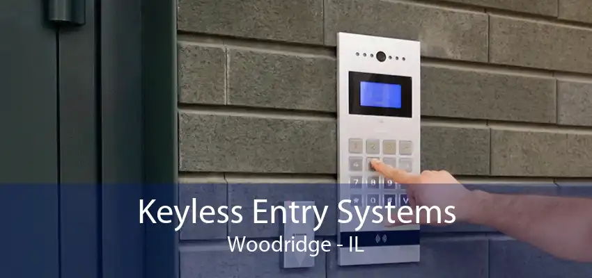 Keyless Entry Systems Woodridge - IL