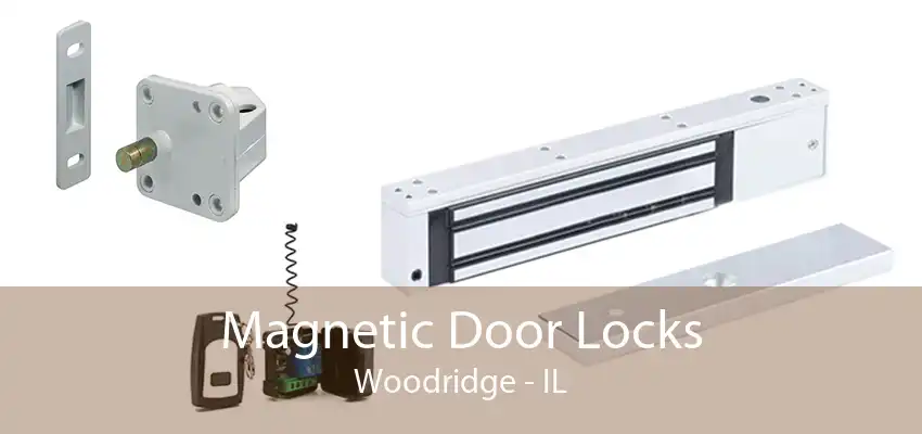 Magnetic Door Locks Woodridge - IL