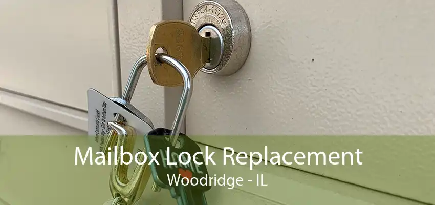 Mailbox Lock Replacement Woodridge - IL