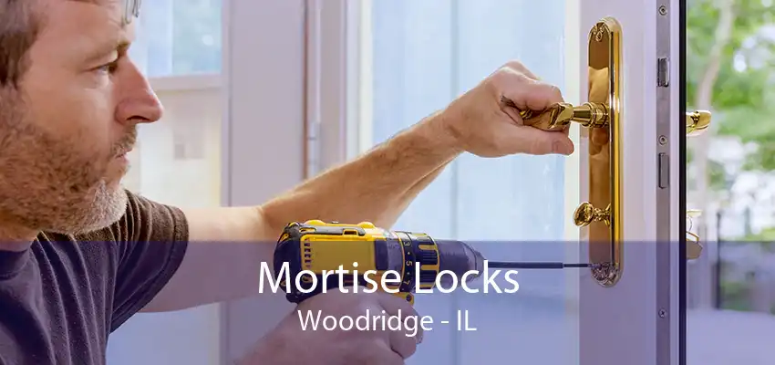 Mortise Locks Woodridge - IL