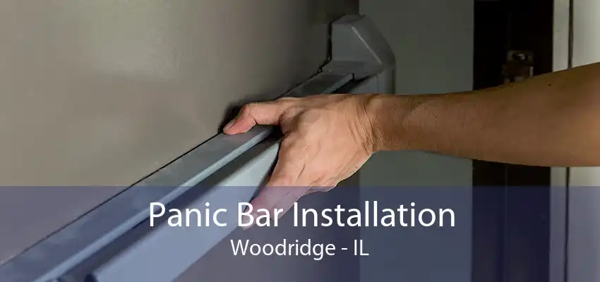 Panic Bar Installation Woodridge - IL