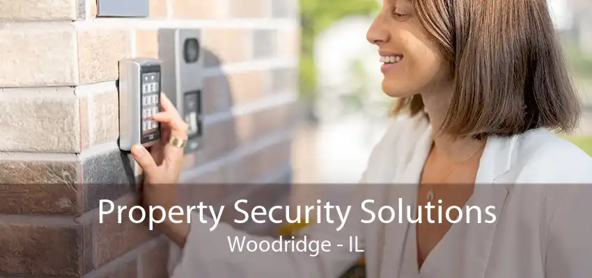 Property Security Solutions Woodridge - IL