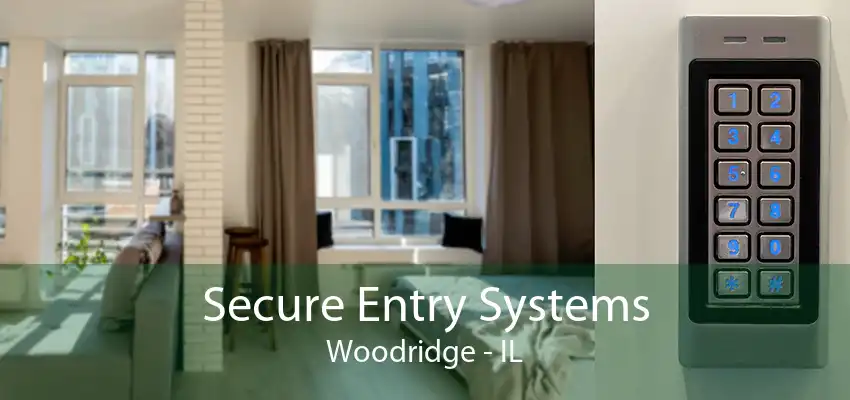 Secure Entry Systems Woodridge - IL