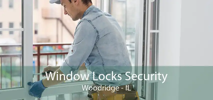 Window Locks Security Woodridge - IL